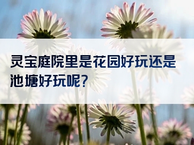 灵宝庭院里是花园好玩还是池塘好玩呢？