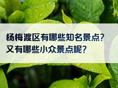 杨梅渡区有哪些知名景点？又有哪些小众景点呢？