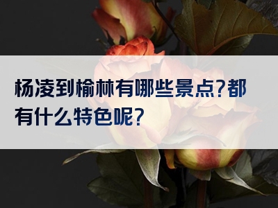 杨凌到榆林有哪些景点？都有什么特色呢？