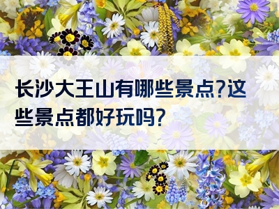 长沙大王山有哪些景点？这些景点都好玩吗？