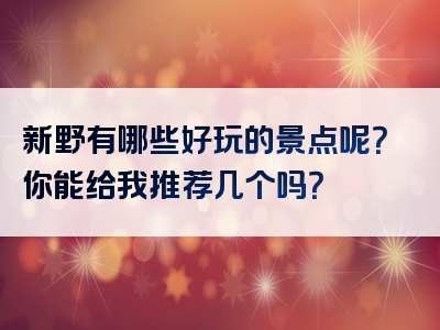 新野有哪些好玩的景点呢？你能给我推荐几个吗？