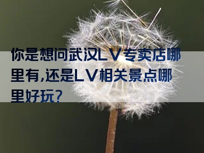 你是想问武汉LV专卖店哪里有，还是LV相关景点哪里好玩？