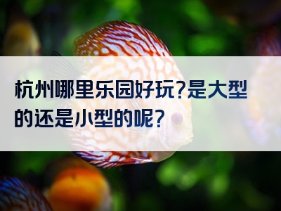 杭州哪里乐园好玩？是大型的还是小型的呢？