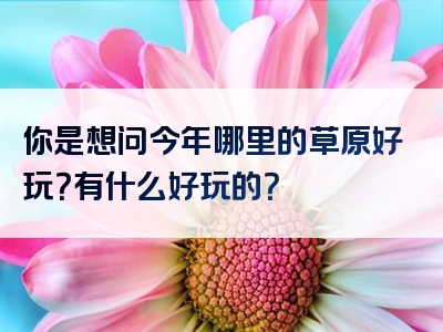 你是想问今年哪里的草原好玩？有什么好玩的？