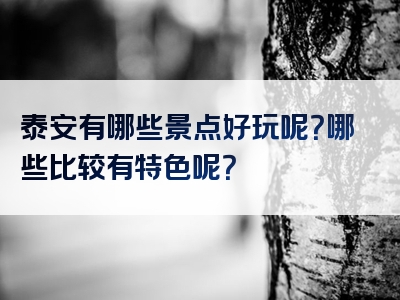 泰安有哪些景点好玩呢？哪些比较有特色呢？