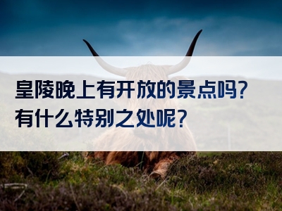 皇陵晚上有开放的景点吗？有什么特别之处呢？