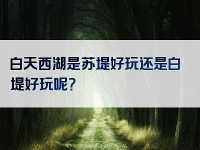 白天西湖是苏堤好玩还是白堤好玩呢？