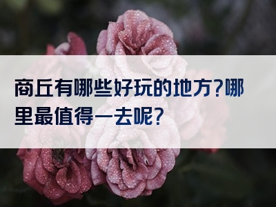 商丘有哪些好玩的地方？哪里最值得一去呢？