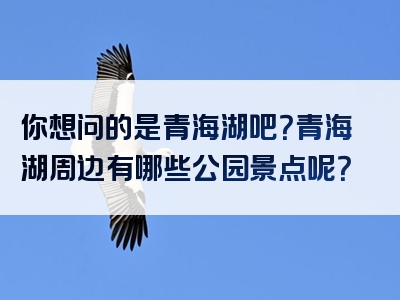 你想问的是青海湖吧？青海湖周边有哪些公园景点呢？