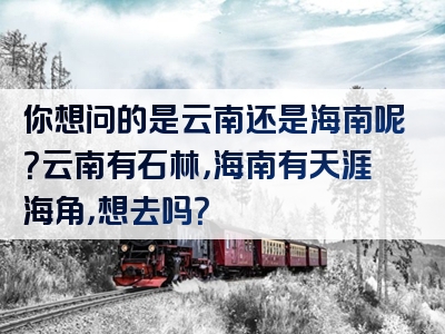 你想问的是云南还是海南呢？云南有石林，海南有天涯海角，想去吗？