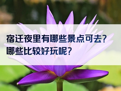 宿迁夜里有哪些景点可去？哪些比较好玩呢？