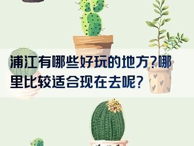 浦江有哪些好玩的地方？哪里比较适合现在去呢？