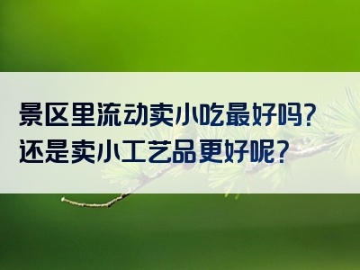 景区里流动卖小吃最好吗？还是卖小工艺品更好呢？