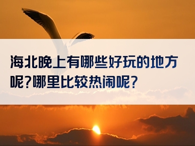 海北晚上有哪些好玩的地方呢？哪里比较热闹呢？