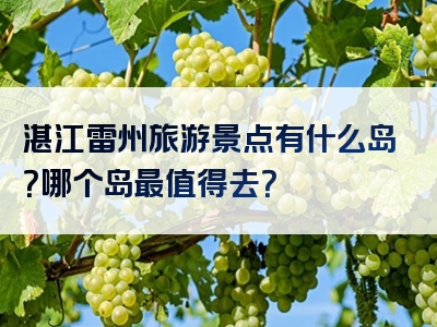 湛江雷州旅游景点有什么岛？哪个岛最值得去？