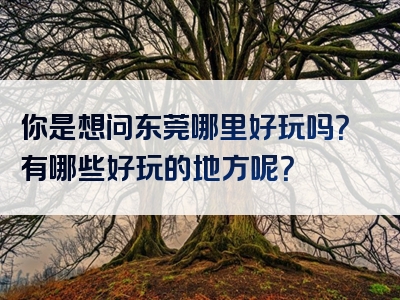 你是想问东莞哪里好玩吗？有哪些好玩的地方呢？