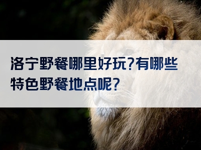 洛宁野餐哪里好玩？有哪些特色野餐地点呢？