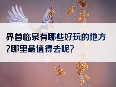 界首临泉有哪些好玩的地方？哪里最值得去呢？