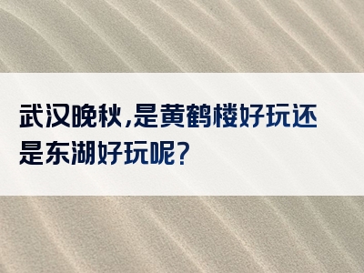 武汉晚秋，是黄鹤楼好玩还是东湖好玩呢？