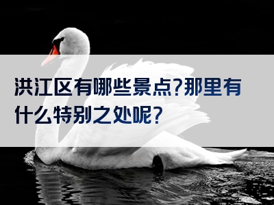 洪江区有哪些景点？那里有什么特别之处呢？