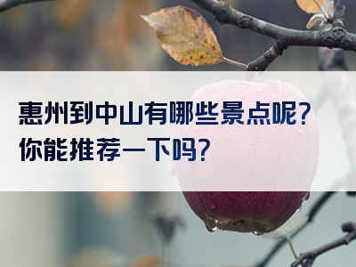 惠州到中山有哪些景点呢？你能推荐一下吗？