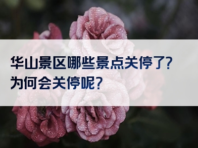 华山景区哪些景点关停了？为何会关停呢？