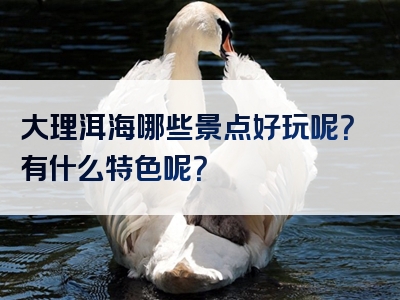 大理洱海哪些景点好玩呢？有什么特色呢？