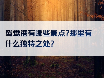 鸳鸯港有哪些景点？那里有什么独特之处？