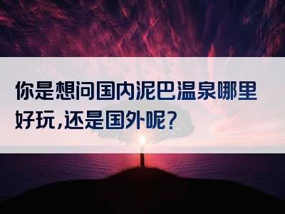 你是想问国内泥巴温泉哪里好玩，还是国外呢？