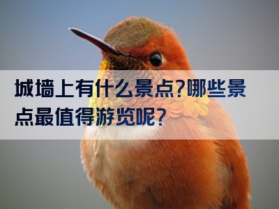 城墙上有什么景点？哪些景点最值得游览呢？