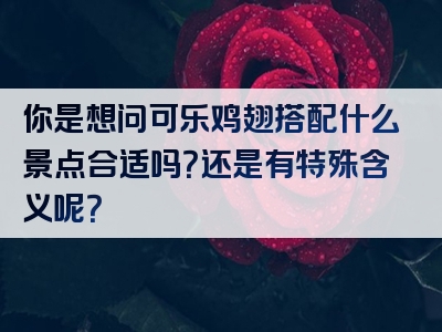 你是想问可乐鸡翅搭配什么景点合适吗？还是有特殊含义呢？