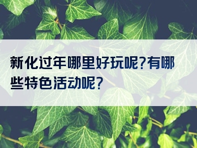 新化过年哪里好玩呢？有哪些特色活动呢？