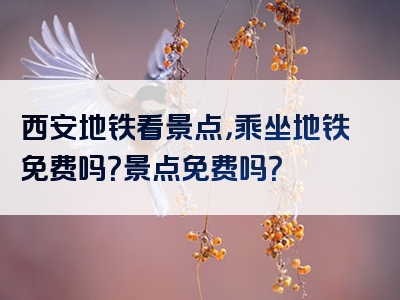 西安地铁看景点，乘坐地铁免费吗？景点免费吗？