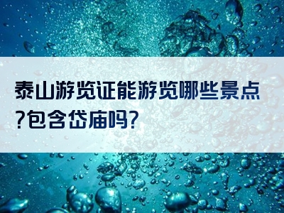 泰山游览证能游览哪些景点？包含岱庙吗？