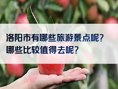 洛阳市有哪些旅游景点呢？哪些比较值得去呢？