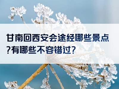 甘南回西安会途经哪些景点？有哪些不容错过？