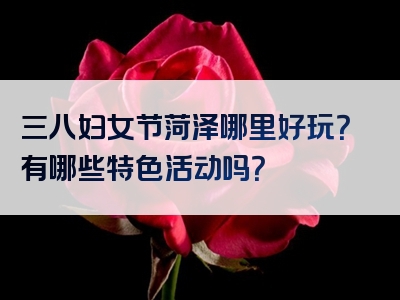 三八妇女节菏泽哪里好玩？有哪些特色活动吗？
