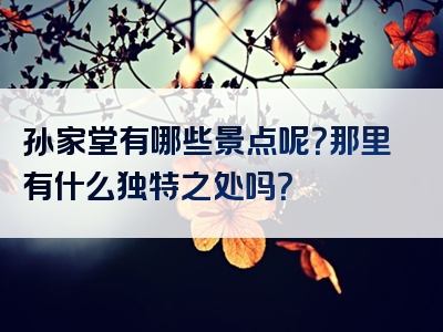 孙家堂有哪些景点呢？那里有什么独特之处吗？