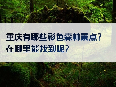 重庆有哪些彩色森林景点？在哪里能找到呢？