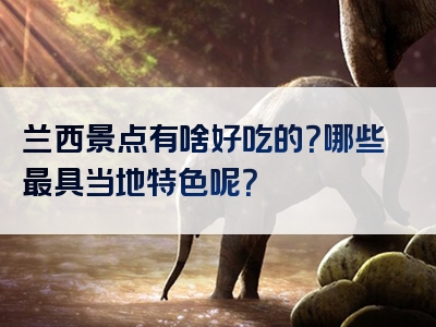 兰西景点有啥好吃的？哪些最具当地特色呢？