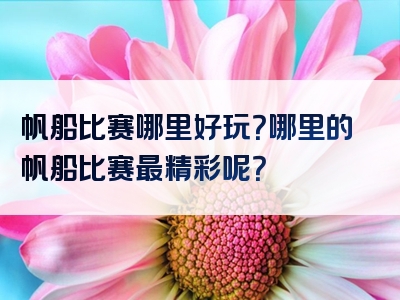 帆船比赛哪里好玩？哪里的帆船比赛最精彩呢？