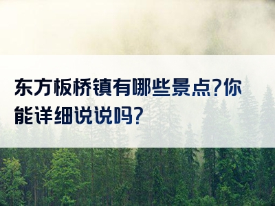 东方板桥镇有哪些景点？你能详细说说吗？