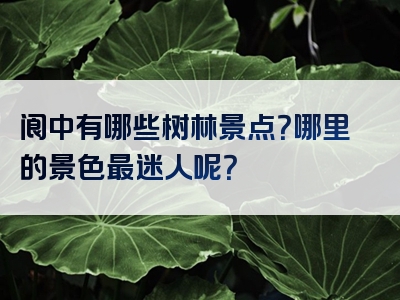 阆中有哪些树林景点？哪里的景色最迷人呢？