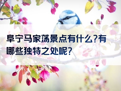 阜宁马家荡景点有什么？有哪些独特之处呢？