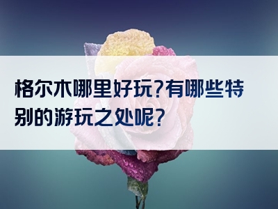 格尔木哪里好玩？有哪些特别的游玩之处呢？