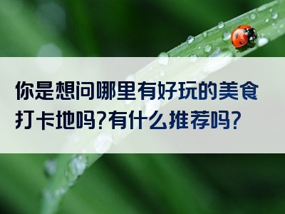 你是想问哪里有好玩的美食打卡地吗？有什么推荐吗？