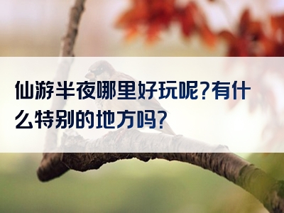 仙游半夜哪里好玩呢？有什么特别的地方吗？