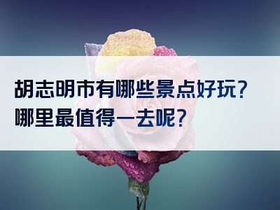 胡志明市有哪些景点好玩？哪里最值得一去呢？