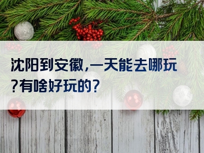 沈阳到安徽，一天能去哪玩？有啥好玩的？