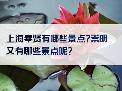 上海奉贤有哪些景点？崇明又有哪些景点呢？